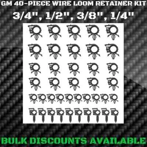 1964-1973 GTO JUDGE Interior Engine Harness Wire Loom Clip Clamp Retainer KIT GM - Picture 1 of 3