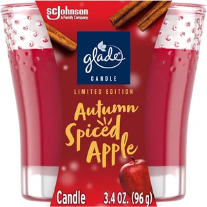 Candle Jar, Air Freshener, Autumn Spiced , Limited Edition Scent, 3.4 Oz - Picture 1 of 12