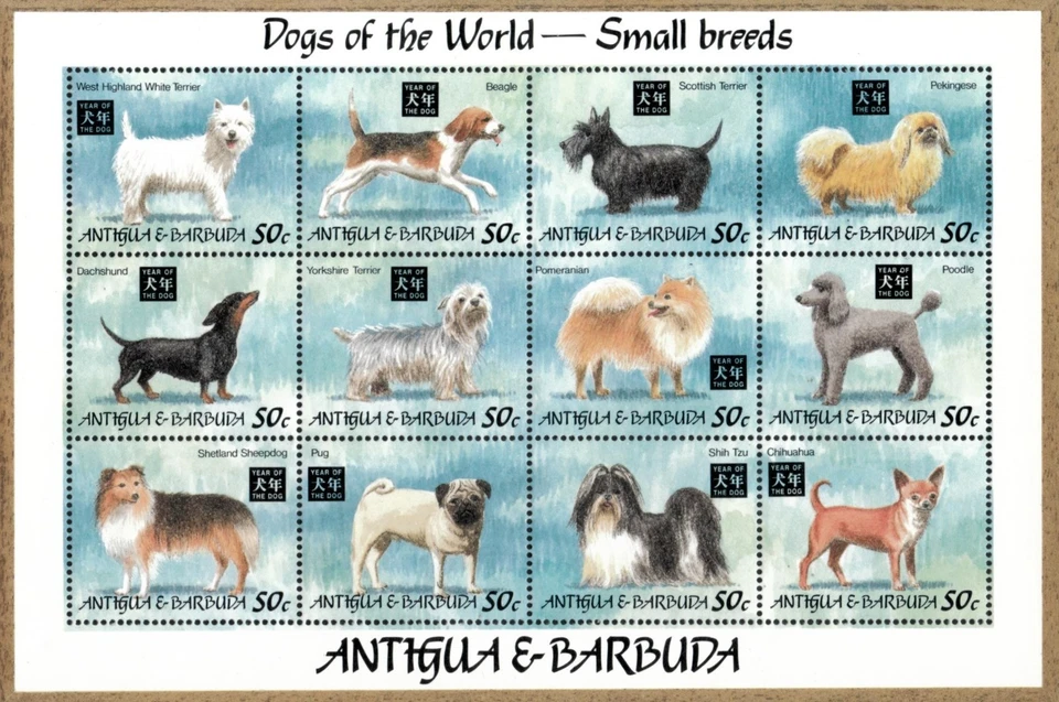 Antigua 1994 - Perros pequeños - Hoja de 12 estampillas - Scott #1782 - MNH Foto 1 de 1
