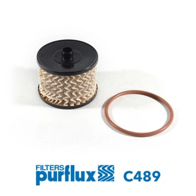 PURFLUX Kraftstofffilter C489 Filtereinsatz für FORD MAX FOCUS GALAXY PEUGEOT SW - Bild 1 von 4