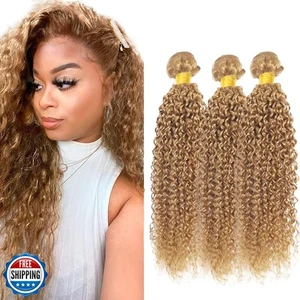 Honigblondes Echthaar #27 versaute lockige Bündel brasilianischer Remy 10 12 14 Zoll  - Bild 1 von 5