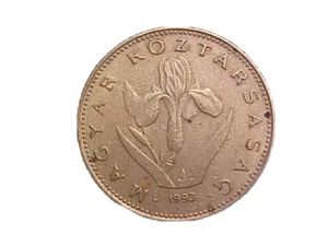 1993 Hungary 20 Forint KM# 696 - Very Nice Circ Collector Coin! -c3643xux - Picture 1 of 2