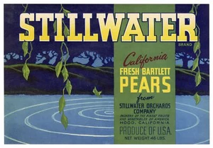 Vintage, unbenutzt STILLWATER Marke Birnen Obstkiste Etikett || Kapuze, California - Bild 1 von 1
