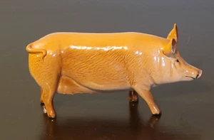 Royal Doulton Tamworth Pig Figurine 6.5" x 3" DA215 (NWOT) PSJ - Picture 1 of 7