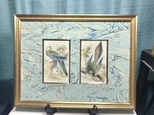 Rare Vintage Framed Print Vanguard Studio Parrots Swirl Matte 13 x 17 - Picture 1 of 7