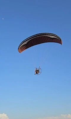 Gin Pegasus 26m Parapente - 45hrs Foto 1 de 4