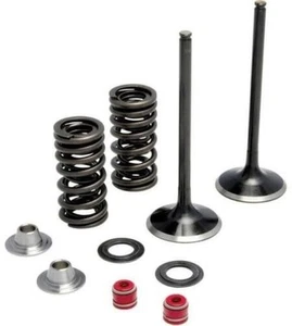 Moose Racing Acier Inoxydable Échappement Valve Kit pour Honda Crf 250 08-09 - Picture 1 of 3
