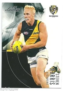 2012 Eternity (169) Steven MORRIS Richmond - Picture 1 of 1