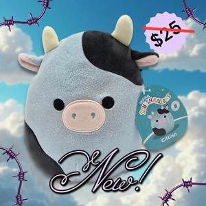 8 Zoll Cillian die Kuh Squishmallow Plüschpuppe mit Etikett - Bild 1 von 7