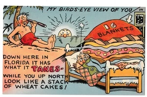 FLORIDA SUN WEATHER vs NORTH WINTER BLANKETS Funny Comic FL Postcard Linen - Bild 1 von 2