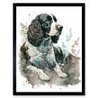 English Springer Spaniel Dog Lying in Field Framed Wall Art Picture Print 12x16