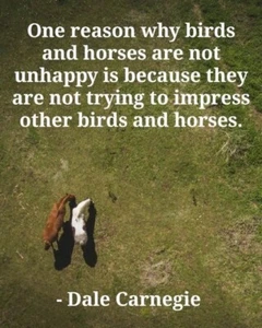 Dale Carnegie Bird horse inspirational refrigerator magnet 3 1/2"x 4 1/2" - Picture 1 of 1