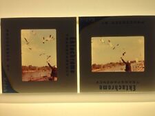 Lot of 2 Vintage 1970 Man Feeding Sea Gulls Ektachrome Photographs Color Slides