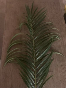 Pottery Barn Faux Palm Leaf 59” - Set of 2 - Picture 1 of 7
