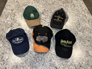 Baseball Hat Lot Lidz Harry Potter Motorcycle Yellowstone & More Adjustable Caps - Picture 1 of 19