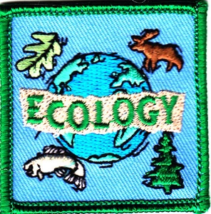 ECOLOGIA Ferro su Patch Terra, - Foto 1 di 2