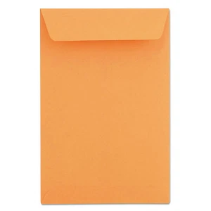 SOBRE CATÁLOGO MARRÓN ARTESANAL KRAFT MARRÓN TALLA 6 X 9 - 28 lb - Imagen 1 de 7