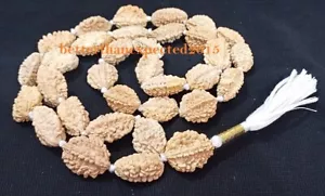Original 2Mukhi Rudraksha Mala Ardhnarishwar Siddha Mala India Origin 32+1 Beads - Picture 1 of 3