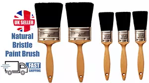 Classic 5 Piece Paint Brush Set Professional Decorating Pure Bristle DIY Brushes - Picture 1 of 5