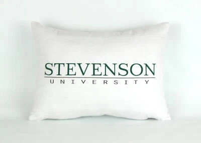 Stevenson University Decorative Pillow - Image 1 of 4