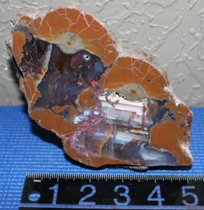 Doppelgeode poliert zwei verschiedene Bilder mit Ständer - Bild 1 von 9