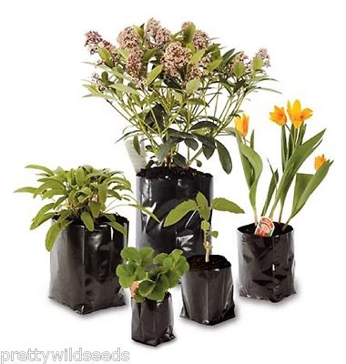 Poly Pots Strong Grow Bag Containers - Many Sizes - HADOPOTS - Plastic Plant Pot - Image 1 of 3