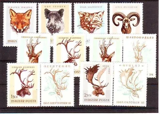 HUNGARY - 1966 - Hunting Trophies - MNH Set of 7 Stamps - Scott #1780-#1786 🤩 - Image 1 of 1