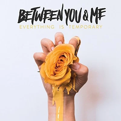Between You & Me - Everything Is Temporary - Between You & Me CD SXLN The Cheap - Bild 1 von 2