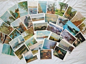 Vintage postcards depicting nature - Picture 1 of 7