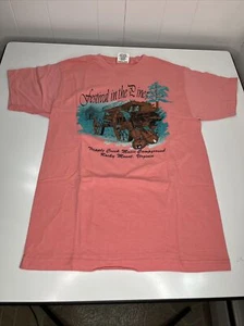 Festival In The Pines VTG Pink T Shirt Tripple Creek Music Rocky Mount, VA SZ M - Picture 1 of 12