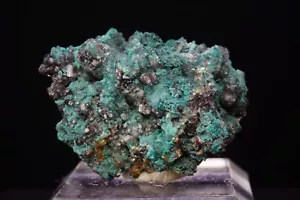 Willemite & Rosasite / Rare Mineral Specimen / Tsumeb Mine, Namibia - Picture 1 of 5