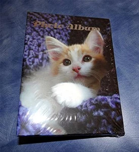 Álbum de fotos 4x6 RAGDOLL birmano AMERICANO DE PELO CORTO siamés gato gatito - Imagen 1 de 1