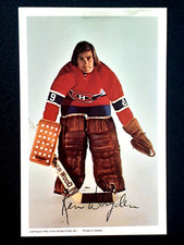 KEN DRYDEN 1972-73 PRO STAR PROMOTIONS INC. POSTCARD TEAM ISSUED 72-73     30444