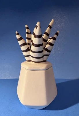 Tarro/contenedor de almacenamiento decorativo con tapa Nate Berkus adorno de cerámica para plantas de aloe 7" Foto 1 de 3