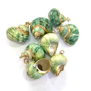 5Pcs/lot Natural Shell Pendants Green Shell Conch Pendant Charms For Jewelry - Picture 1 of 24