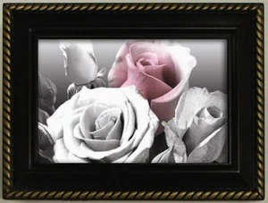 Galleria - Music / Jewelry Box - Antique Rose - Black - Picture 1 of 1