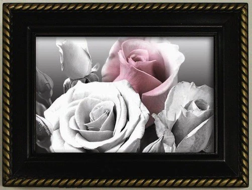 Galleria - Music / Jewelry Box - Antique Rose - Black - Image 1 of 1