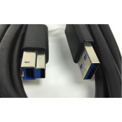 6' USB 3.0 Type A Plug to USB 3.0 Type B Plug (1304-7128) - Image 1 of 2