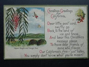 America CHRISTMAS GREETINGS from CALIFORNIA c1910 Postcard by M Kashower Co. - Picture 1 of 2