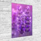 Wand-Bild Kunstdruck aus Hart-Glas Hochformat 70x100 Lavendelfeld