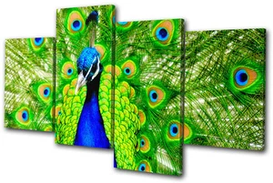 Tiere Pfauenfedern MULTI LEINWANDBILD WANDBILD Bild Druck VA - Bild 1 von 1