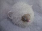 Handmade Albino Hedgehog Tea Cosy 6 Cup (No Pot) Pet Knit Gift Fluffy Cute