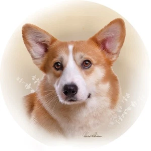 CUSTOM DECOR CORGI ROUND 6 INCH DIAMETER MAGNET FREE SHIPPING - Picture 1 of 1