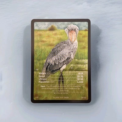Life TCG Birds 1st Edition - Shoebill - Fullart 29/130 | POP 400 - Bild 1 von 2