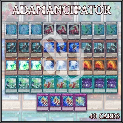 ADAMANCIPATOR 40 DECK | Risen Dragite Leonite Raptite Researcher Signs YuGiOh - Image 1 of 2