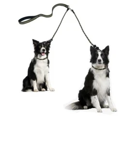 Doppel Hundeleine verwicklungsfrei, verstellbar, langlebig 2 Hunde, bequem gepolsterter Griff - Bild 1 von 1