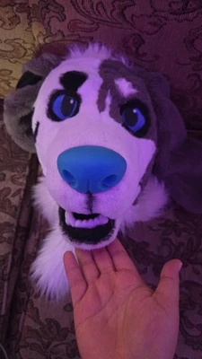 狗毛套头 LQ 中质仅材料价格 — 第 1/4 张图片