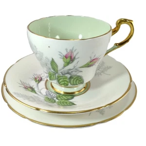 Paragon Trio Fine Bone China Teetasse Untertasse & Dessertteller Rosenknospen hellgrün - Bild 1 von 21