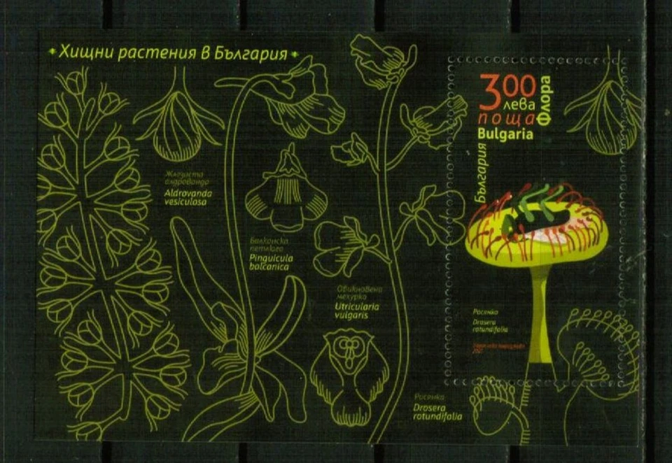 BULGARIA 2021 FLORA Flores PLANTAS DEPREDADORAS - S/S MNH Foto 1 de 1
