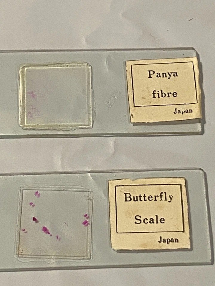 2 Лот старинный микроскоп образец слайды: Panya волокна и бабочка весы (Япония) - Изображение 1 из 4
